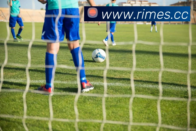 mk体育官网中国官方网平台生态图