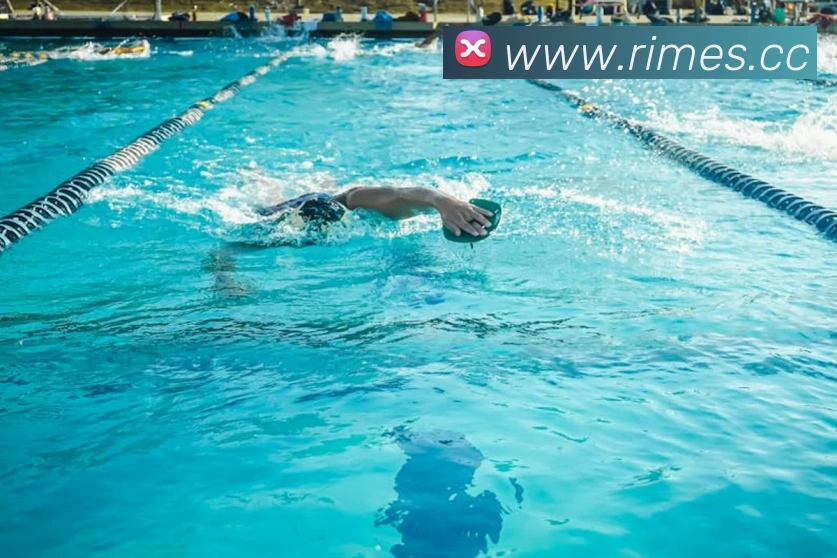 mk体育官网中国官方网APP 封面图